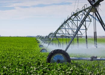 Irrigation sprayer on a farm