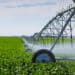 Irrigation sprayer on a farm