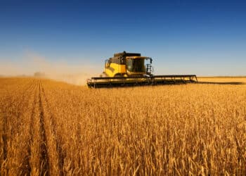 The downward trend in the combine market has continued, essentially, since the end of last year on the ag side.
