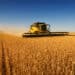 The downward trend in the combine market has continued, essentially, since the end of last year on the ag side.