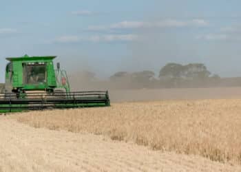 Side on view of a combine header is used on a western australian grain farm to harvest ripe barley