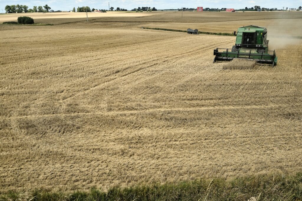A combine harvester cuts a field of wheat on a farm in the Lisowice district of Torun, Poland, on Friday, Aug. 11, 2023. Some of Ukraines European neighbors, including Poland, are extending a ban on purchasing some of the countrys grain until mid-September, a move that risks fueling tensions between Kyiv and its allies.