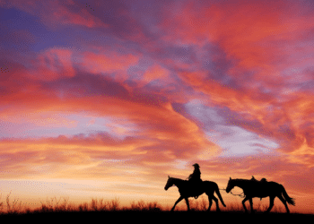 Equipment finance brokers: Last ‘Wild West’ of business
