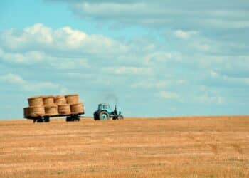 Farmers’ financial sentiment improves