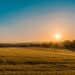 Used farm equipment inventory up 40% in February