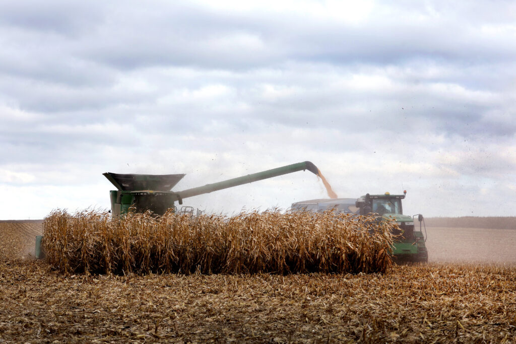 Farmers from harvest corn in a field near McIntire, Iowa.