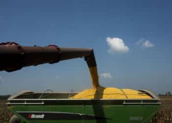 Corn is transferred into a grain cart during a harvest in Crawfordsville, Arkansas, US, on Friday, Aug. 25, 2023. Annual US corn exports are expected to increase to 63.5 million tons by 2024/25, reports USDA.