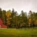 Agriculture results mixed across U.S.