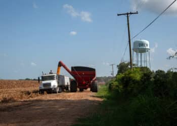 Farmers harvest corn in Drew, Mississippi, US, on Saturday, Aug. 12, 2023. It's difficult to find banks willing to give home loans to the low-income, Black residents who make up the majority of the population in Drew, Mississippi  a flaw in a US government-backed lending system meant to help aspiring buyers in communities like these.