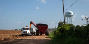 Farmers harvest corn in Drew, Mississippi, US, on Saturday, Aug. 12, 2023. It's difficult to find banks willing to give home loans to the low-income, Black residents who make up the majority of the population in Drew, Mississippi  a flaw in a US government-backed lending system meant to help aspiring buyers in communities like these.