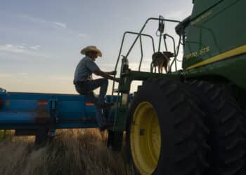 A farmer and his dog climb into a combine to harvest winter wheat in Corn, Oklahoma, U.S., on Wednesday, June 15, 2022.