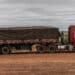 A driver secures a tarp over soy before exiting a farm near Capixaba, Acre state, Brazil, on Tuesday, May, 28, 2024. As farmers move deeper into the Amazon to meet global demand for soy, corn and sugar, geoglyphs are being destroyed just as fast as they're being discovered.