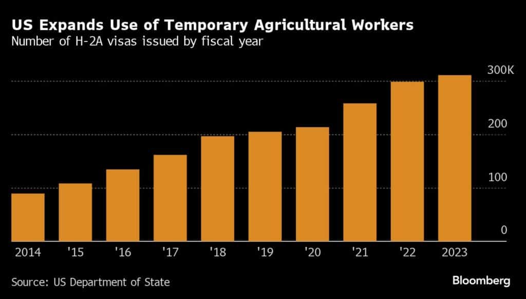 US Expands Use of Temporary Agricultural Workers | Number of H-2A visas issued by fiscal year