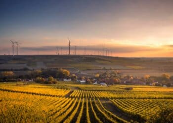 Net farm income forecast down 4%