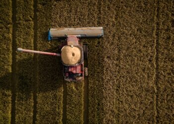A worker harvests rice at a farm in Pace, Mississippi.