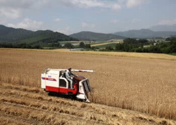 Northpoint partners with Yanmar for financing