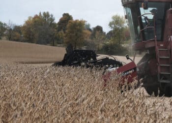 Farmers press Trump for biofuels boost to counter tariff losses