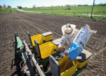 USDA to review reports following delay of latest trade outlook