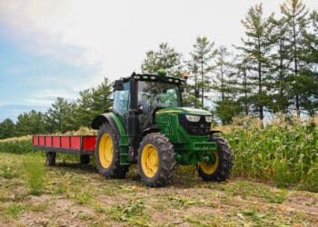 Workers harvest sweet corn at a farm in Sainte Madeleine, Quebec, Canada, on Friday, July 25, 2025. The World Agricultural Supply and Demand Estimates report is due to be released at noon on Friday, giving traders fresh insights on crop supply and demand.