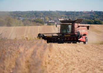 U.S.-China trade deal brightens farmers’ outlook