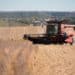 U.S.-China trade deal brightens farmers’ outlook