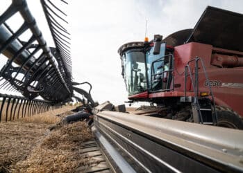 US farmers say $12 billion bailout won’t end industry slump