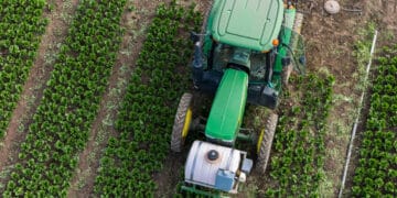 US lowers tariffs to boost investment in industrial economy